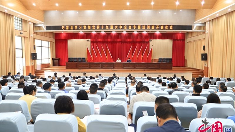 在线教育细分行业：揭秘差异与选择之道